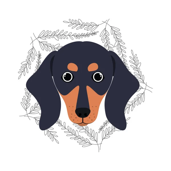 Beyaz arka plan üzerinde sevimli dachshund köpek başkanı — Stok Vektör