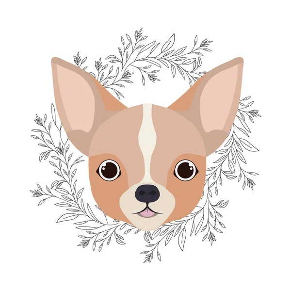 หัวของสุนัข Chihuahua น่ารักบนพื้นหลังสีขาว — ภาพเวกเตอร์สต็อก