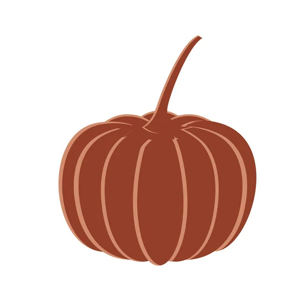 Pumpkin in harvest on white background — Stock Vector