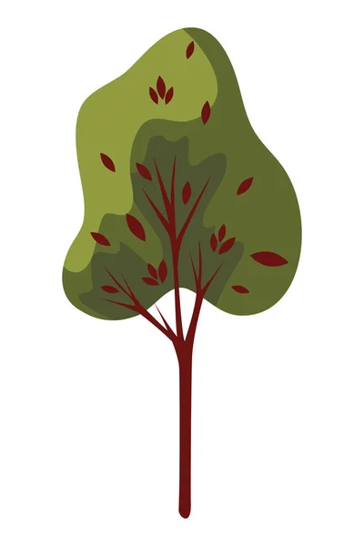 秋季树植物季节性隔离图标 — 图库矢量图片