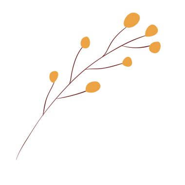 tohumlar mevsimlik simgesi ile sonbahar şube