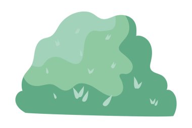 sonbahar çalı bitki mevsimsel simgesi