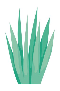 sonbahar çalı bitki mevsimsel simgesi