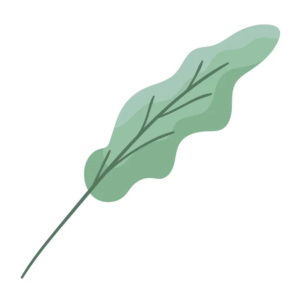 Planta de hoja de otoño icono estacional — Vector de stock