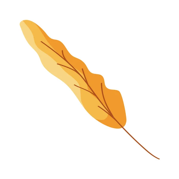 Herfst blad plant seizoensgebonden pictogram — Stockvector