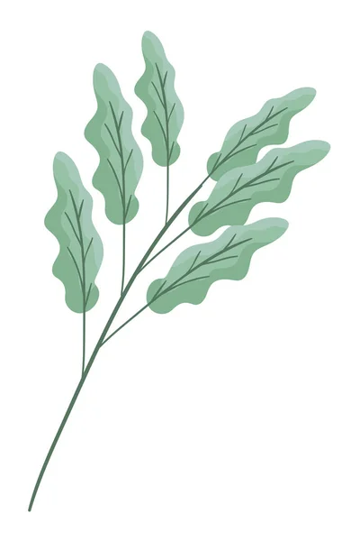 Φθινόπωρο κλαδί με φύλλο εποχικό εικονίδιο — Διανυσματικό Αρχείο