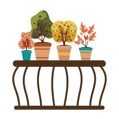 seramik kaplar ve balkon sonbahar bitkileri