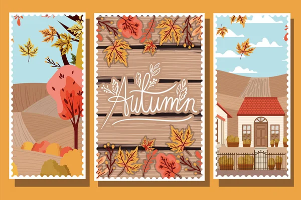 Gestaltung der Herbstsaison, Vektor-Illustration — Stockvektor