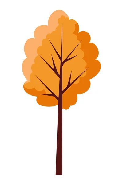 秋の植物季節の孤立したアイコン — ストックベクタ