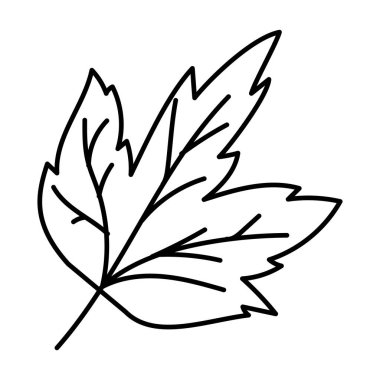 sonbahar yaprak bitki mevsimsel simgesi