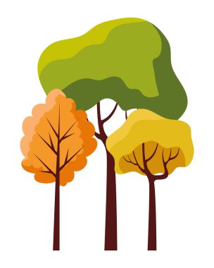 mevsimlik orman sonbahar manzarası