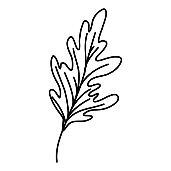 Feuille d'automne plante icône saisonnière — Image vectorielle