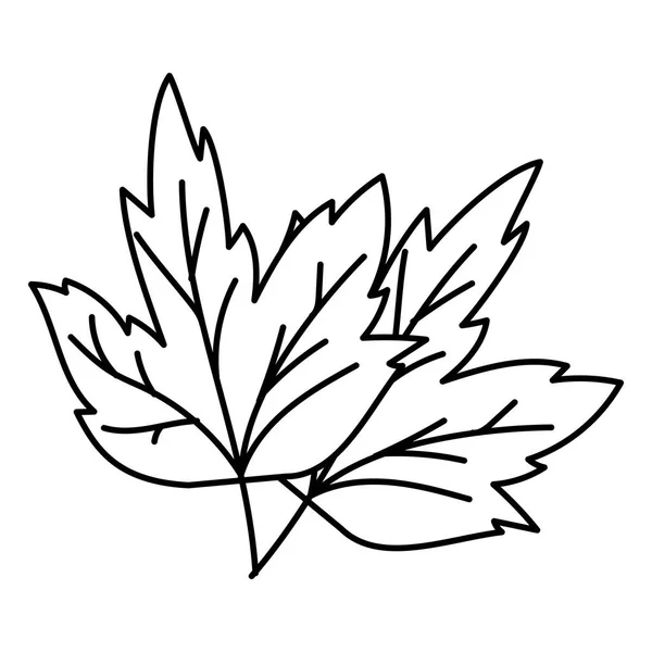 autumn leaf plant seasonal icon