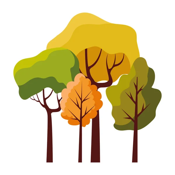 Saisonale Wald Herbst Landschaft Szene — Stockvektor