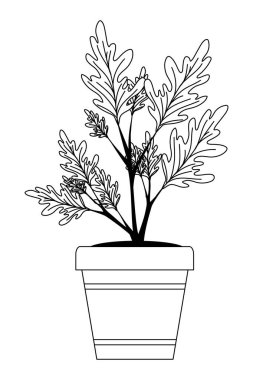 seramik pot mevsimsel simgesi sonbahar bitki