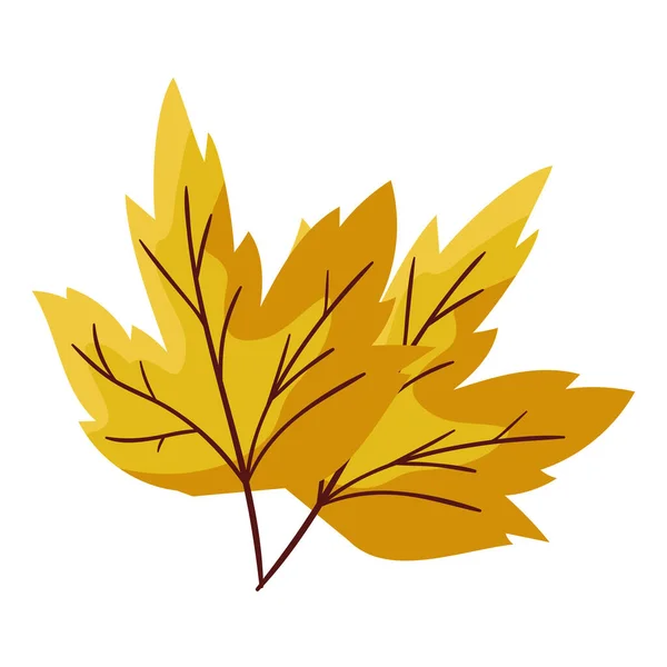 秋葉植物季節のアイコン — ストックベクタ