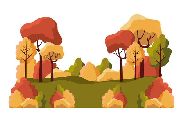 Szezonális erdő őszi táj jelenet — Stock Vector