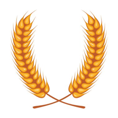 Buğday başakları taç süslemesi izole edilmiş simge