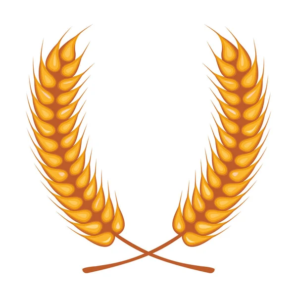 Espigas de trigo corona decoración icono aislado — Vector de stock