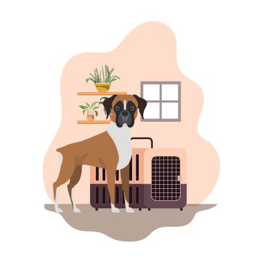 Evde nakliye kutusu olan sevimli köpek maskotu.