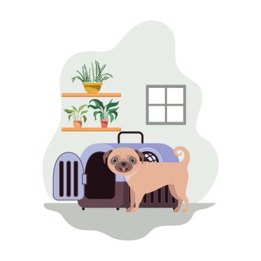 Evde nakliye kutusu olan sevimli köpek maskotu.