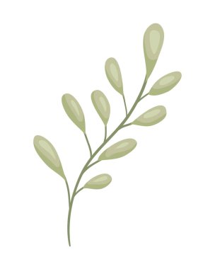 şube ile dekoratif simgesi yapraklar