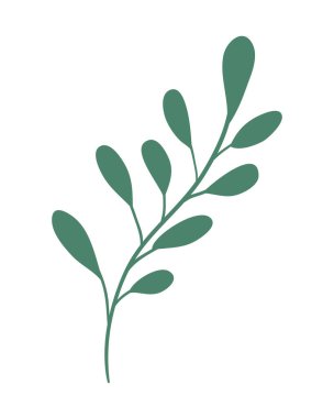 şube ile dekoratif simgesi yapraklar