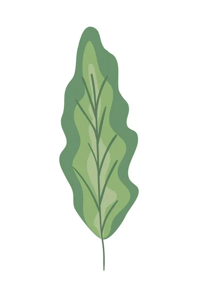 Ecología planta hoja aislado icono — Vector de stock