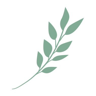 şube ile dekoratif simgesi yapraklar