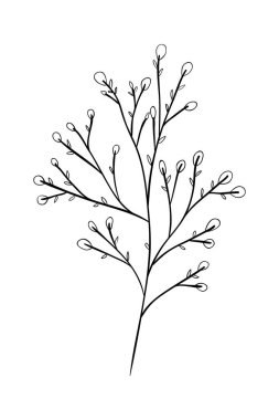 Tohumlu dal dekoratif simge