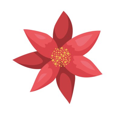 güzel noel çiçeği dekoratif ikonu