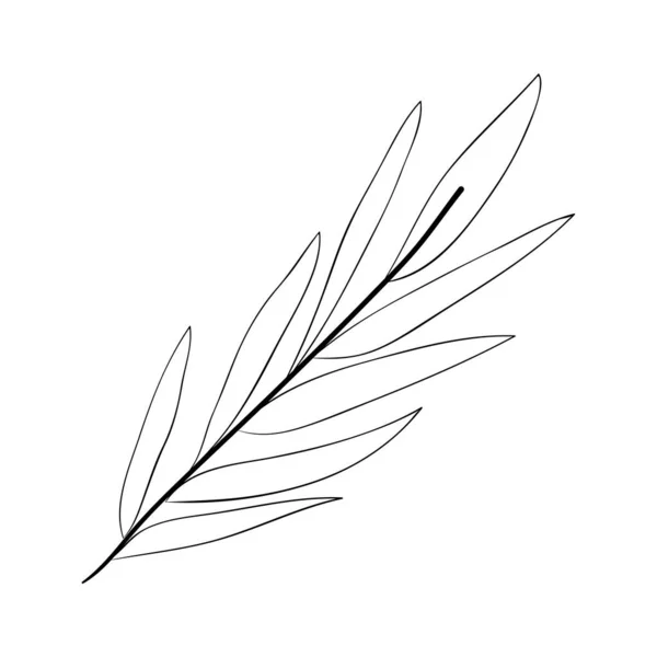 Gren med leafs dekorativa ikonen — Stock vektor