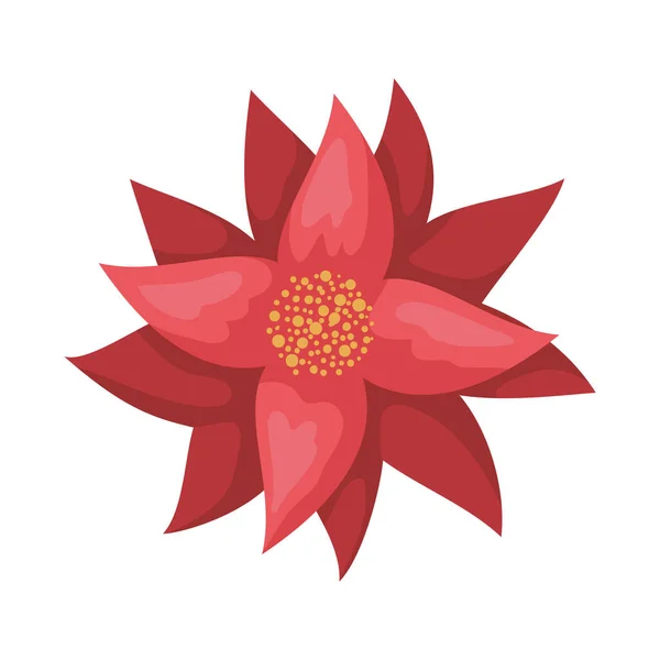 Szépség karácsony virág dekoratív ikon — Stock Vector