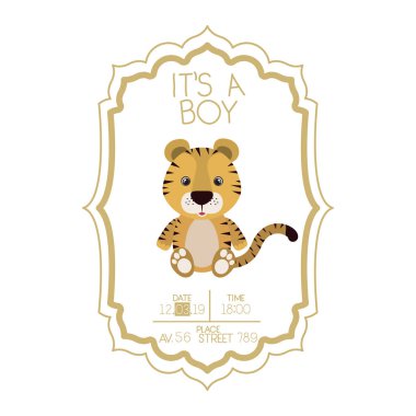 Küçük tatlı kaplan. Bu bir erkek kartı.