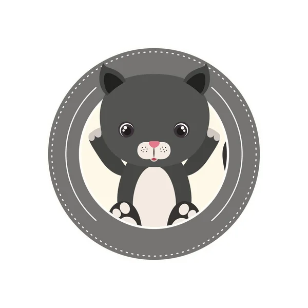 かわいい猫の動物のキャラクター — ストックベクタ