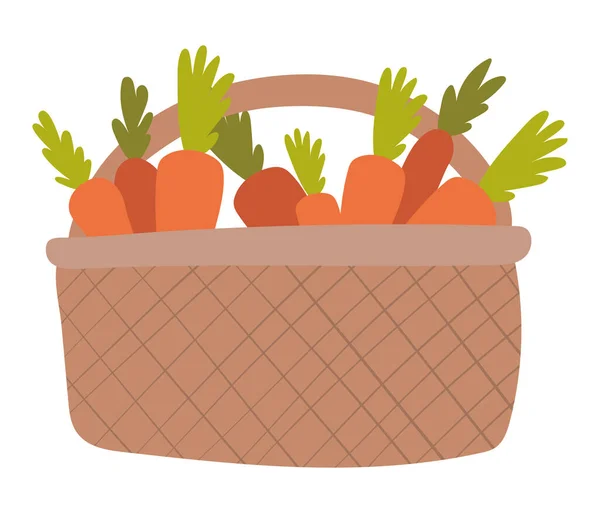Zanahorias aisladas dentro de diseño de vectores cesta — Vector de stock