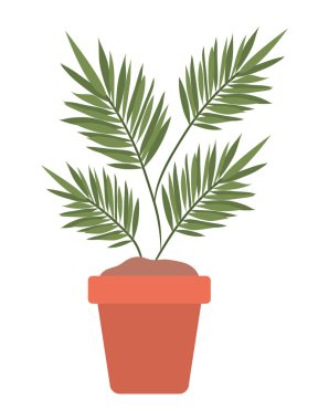 Ot vektör tasarımı içinde izole edilmiş bitki