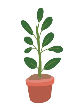 Ot vektör tasarımı içinde izole edilmiş bitki