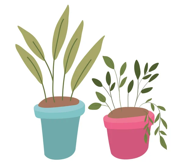 Isolated plants inside pots vector design — Stock Vector