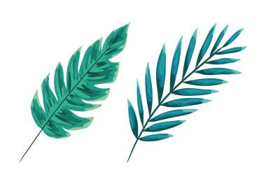 İki yeşil yaprak vektör tasarımı izole edildi