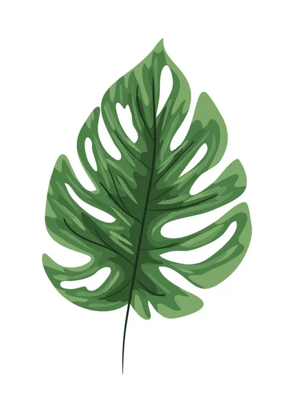 Diseño aislado de vectores de hojas verdes naturales — Archivo Imágenes Vectoriales