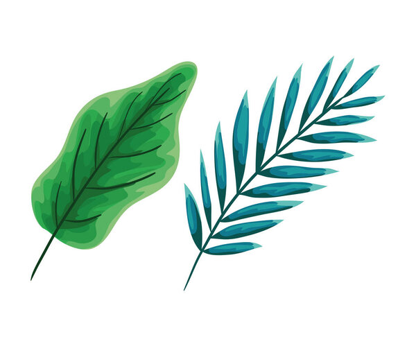 Isolated two green leaves vector design