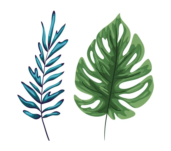 Isolé deux feuilles vertes conception vectorielle — Image vectorielle