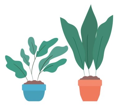 Tencere vektör tasarımının içindeki izole bitkiler