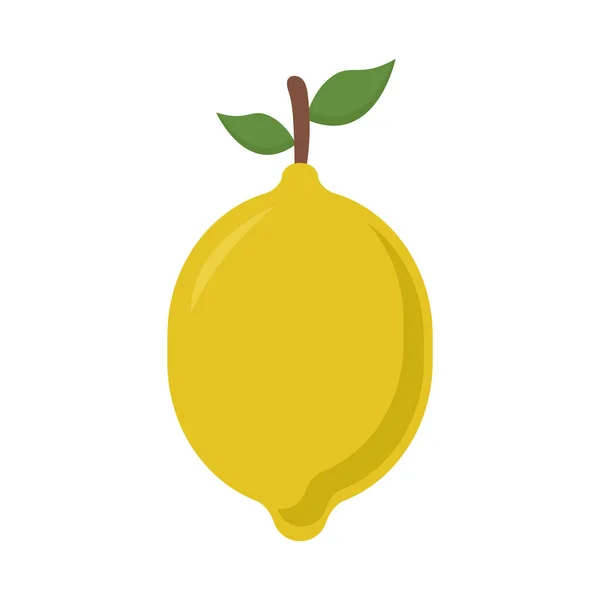 Citron fruit plat style icône vectoriel design — Image vectorielle