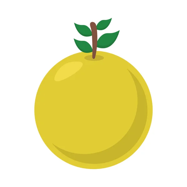 Naranja fruta plana icono de estilo diseño vectorial — Vector de stock