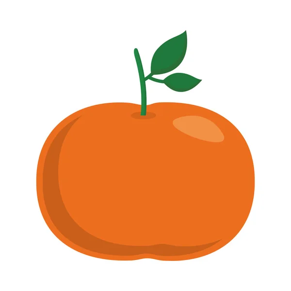 Mandarina fruta plana icono de estilo diseño de vectores — Vector de stock