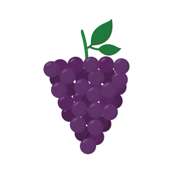 Uvas fruta plano icono de estilo diseño vectorial — Vector de stock