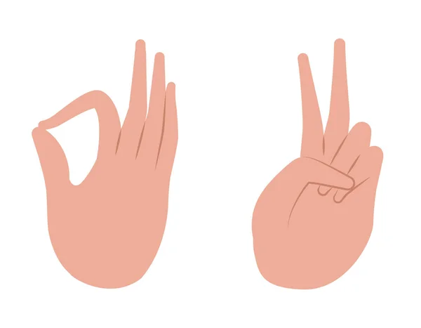 Peace love and okey hand vector design — Stock Vector
