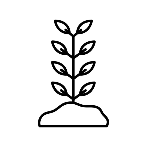 Plant op aarde lijn stijl pictogram vector ontwerp — Stockvector